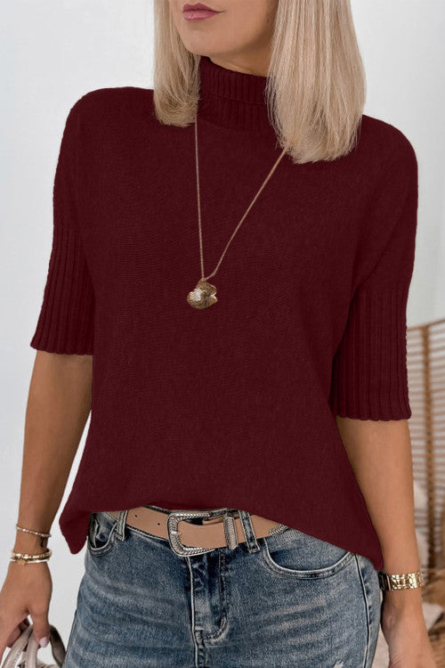 Burgundy  Ribbed Trim High Neck Short Sleeve Casual Sweater